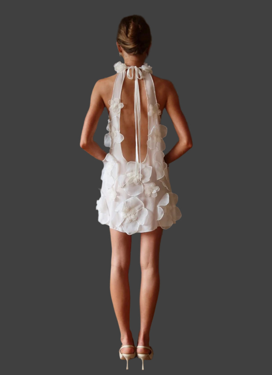 23rd & Madison Sofia Dress