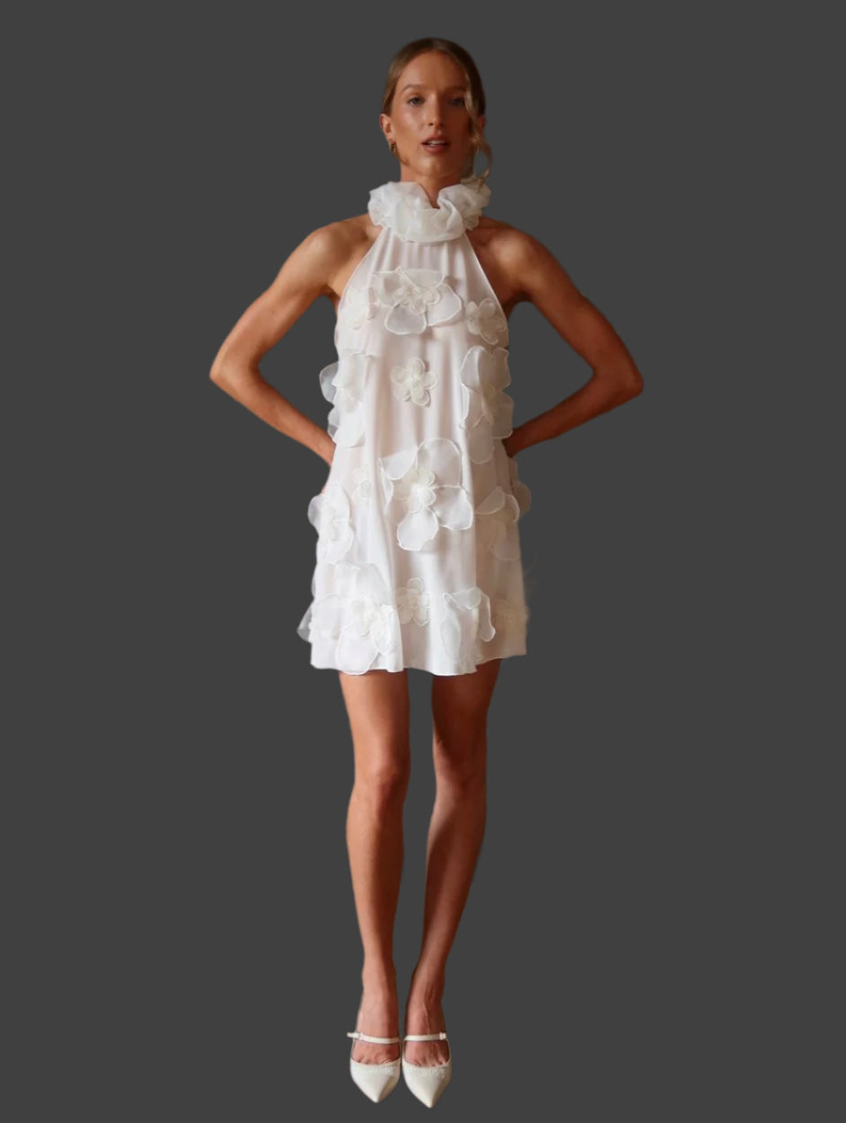 23rd & Madison Sofia Dress