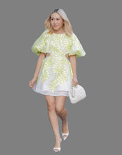 Eastend Wardrobe Botanical Applique Mini Dress Dress
