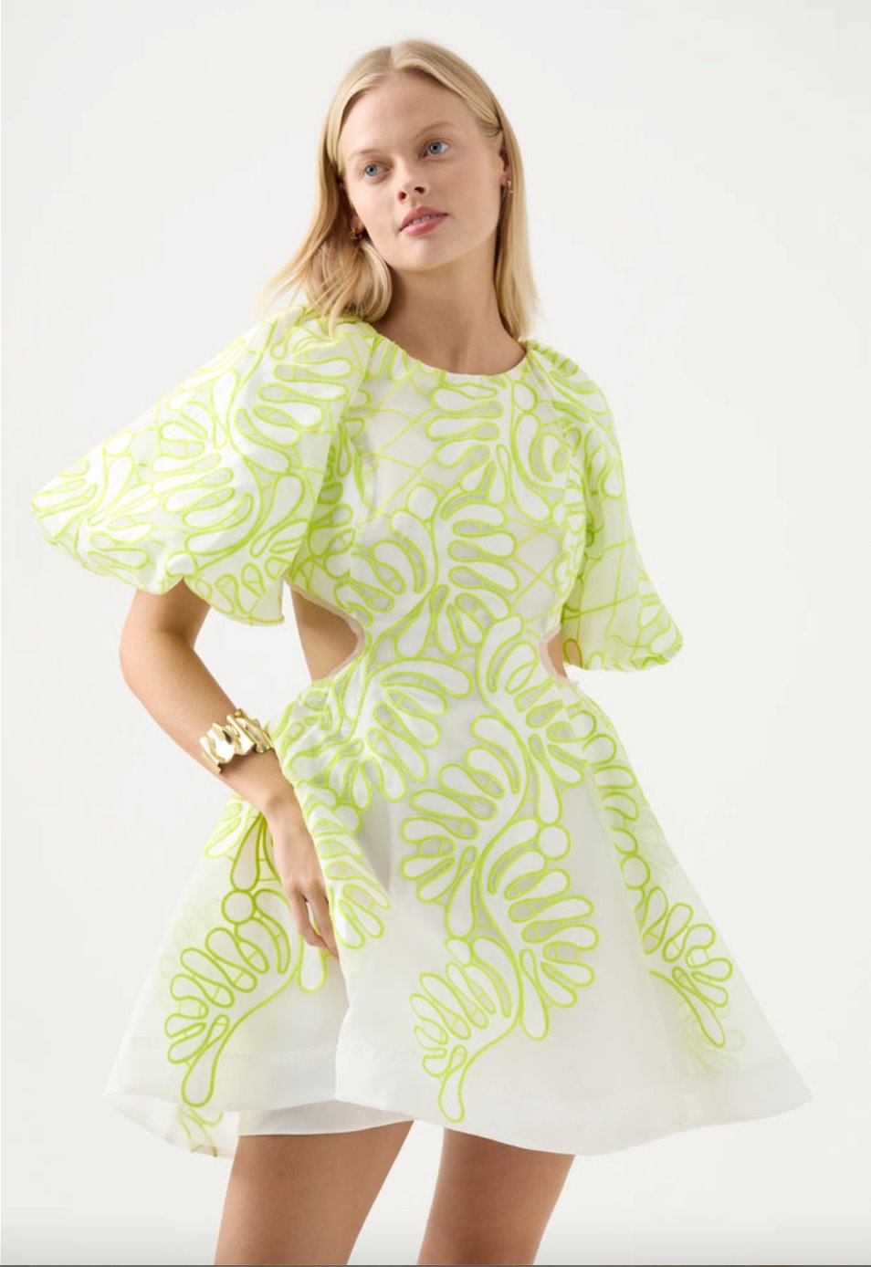 Eastend Wardrobe Botanical Applique Mini Dress Dress