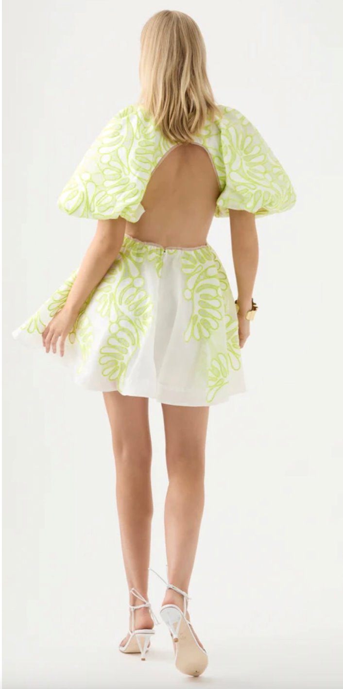 Eastend Wardrobe Botanical Applique Mini Dress Dress