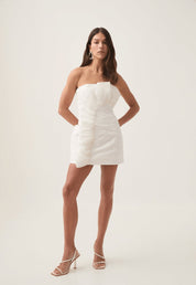 Aje Telma Ruffle Micro Mini Dress 