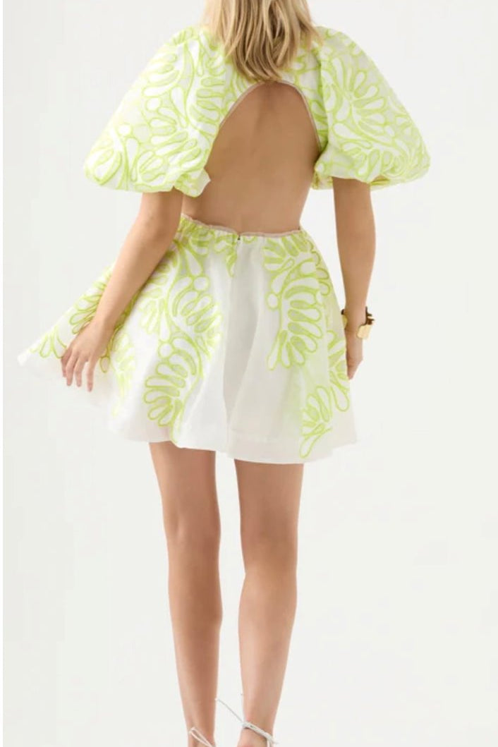 Eastend Wardrobe Botanical Applique Mini Dress Dress 