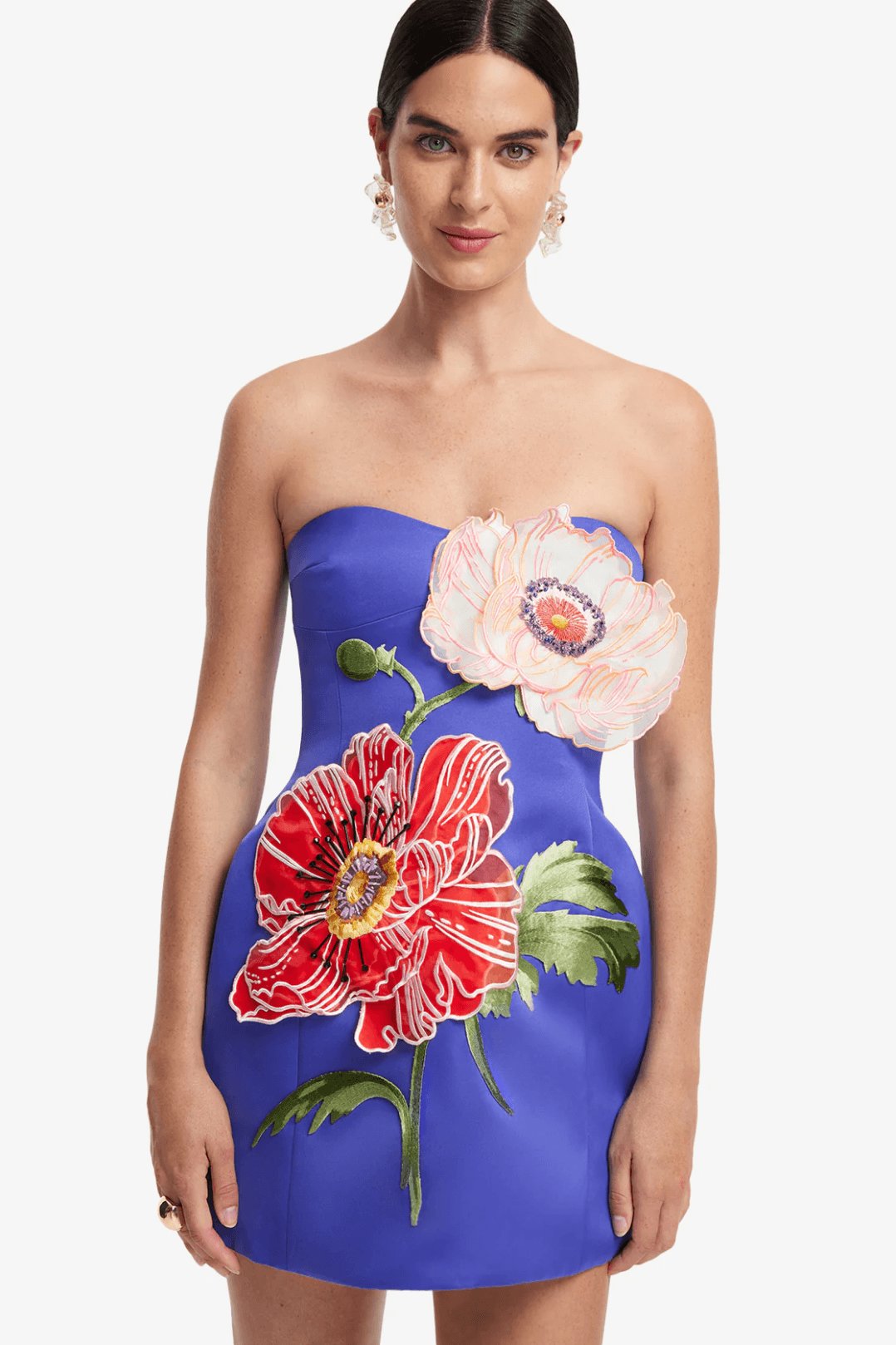 Leo Lin Rosario Appliqué Floral Bustier Mini Dress Dress 