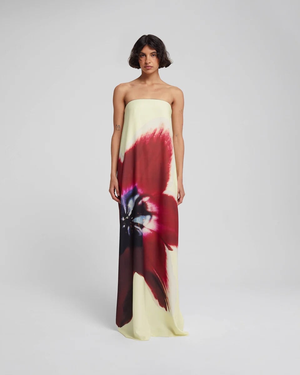 Rat & Boa Antheia Dress Dress 