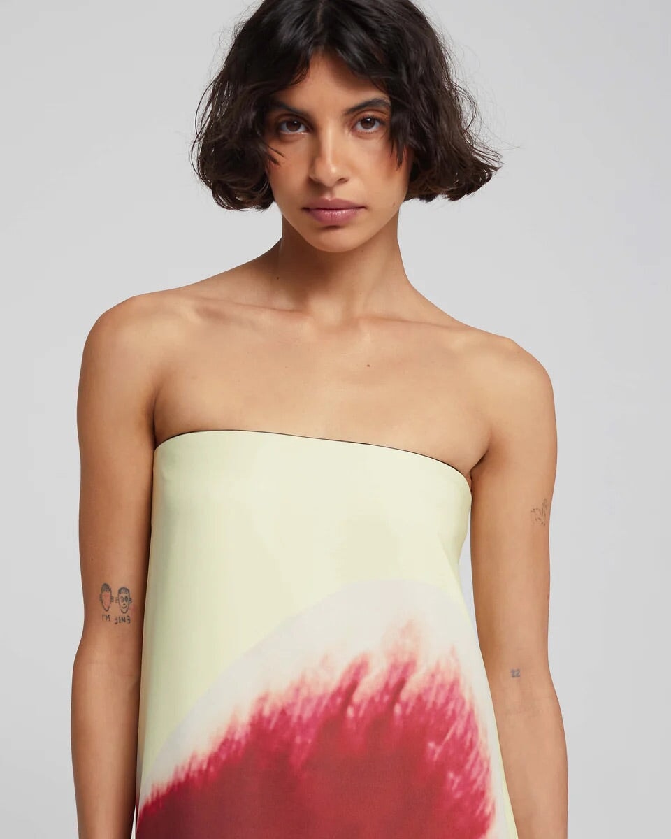 Rat & Boa Antheia Dress Dress 